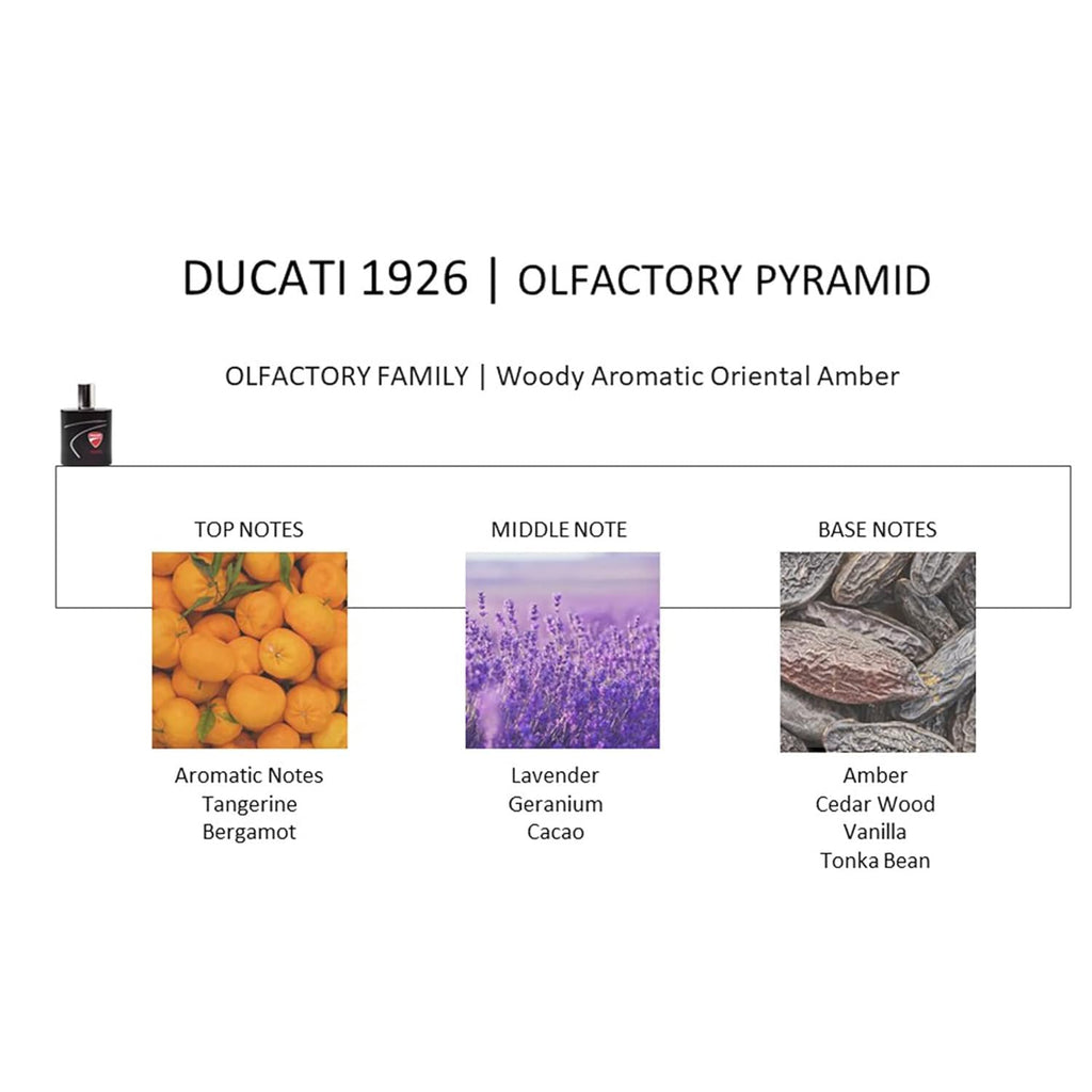 Aromatic Fougere 3.4 oz EDT Spray I283