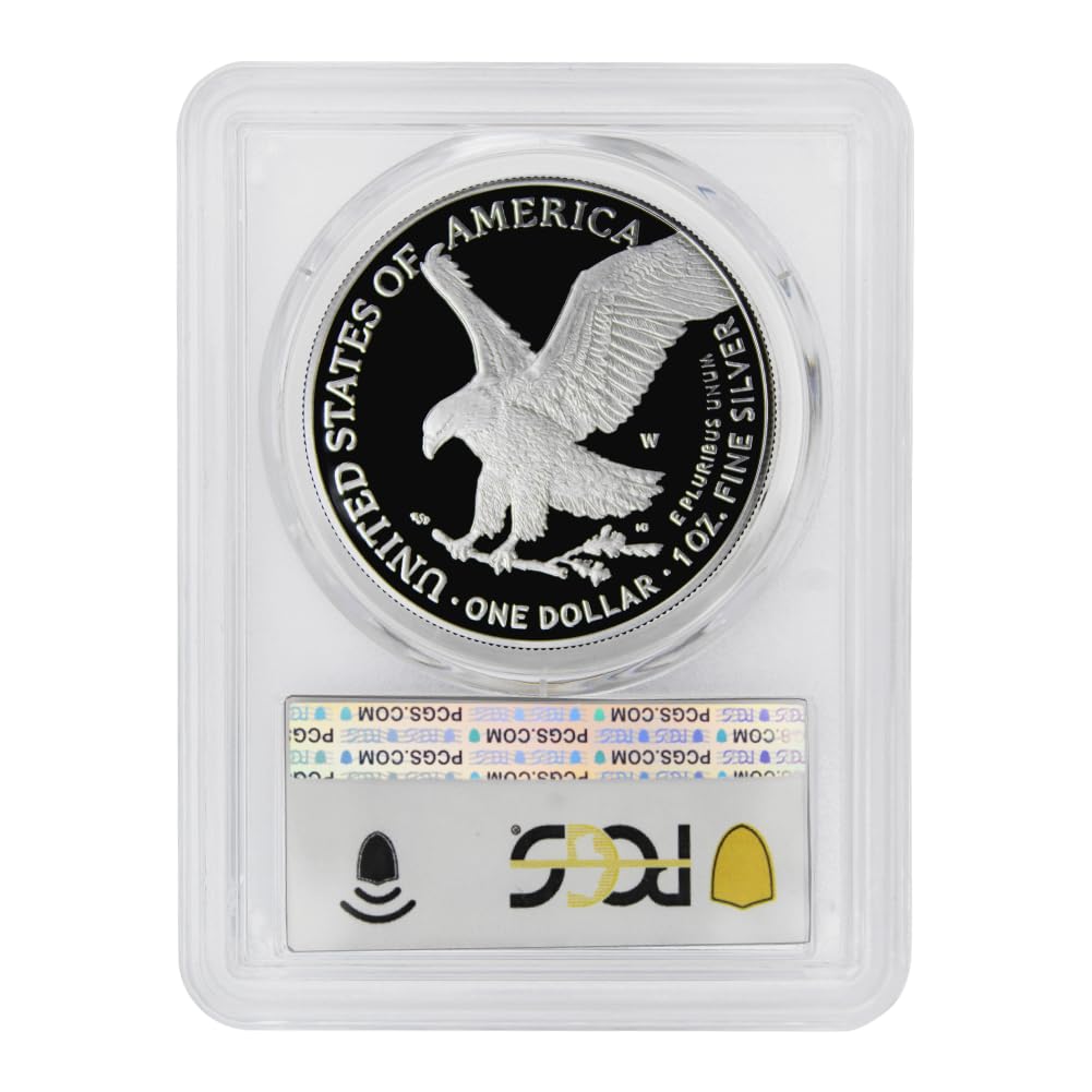 1 oz American Silver Eagle Coin N220