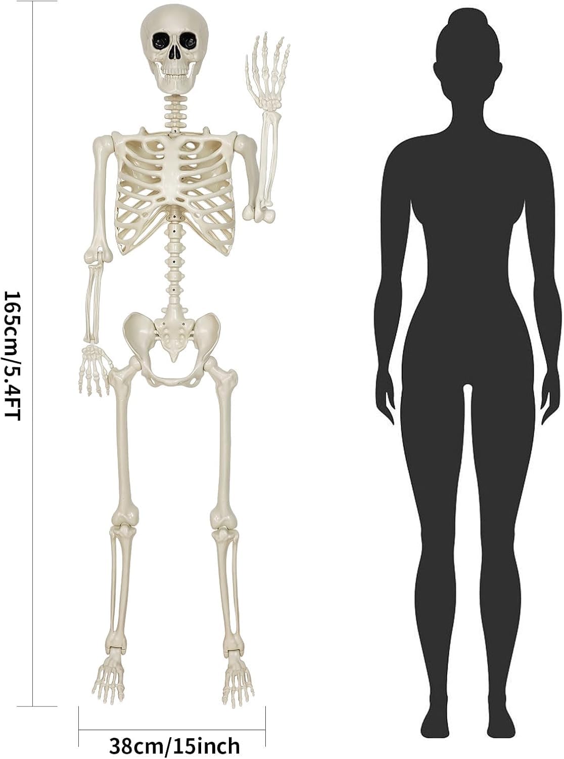 5.4FT Posable Skeleton Decorations Q677375
