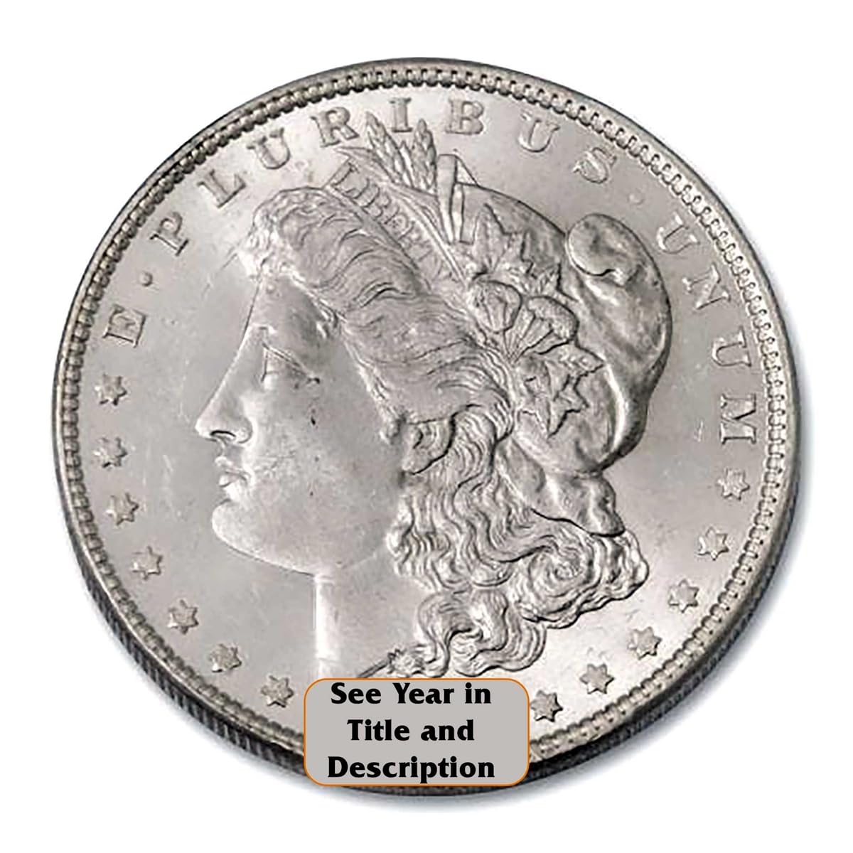 Morgan Silver Dollar J237733