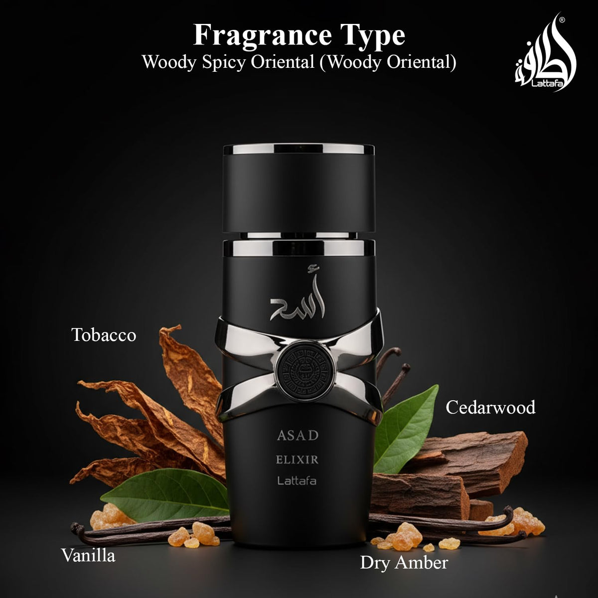Spicy Woody Amber Eau de Parfum Spray 3.4 Ounce I217