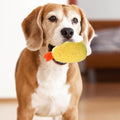 Fried Shrimp Shaped Plush Squeaky Dog & Cat Toy Z528