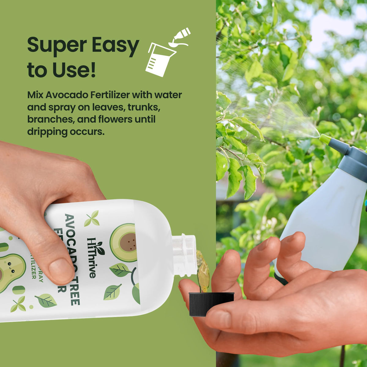 Avocado Fruit Tree Fertilizer 16oz W4491