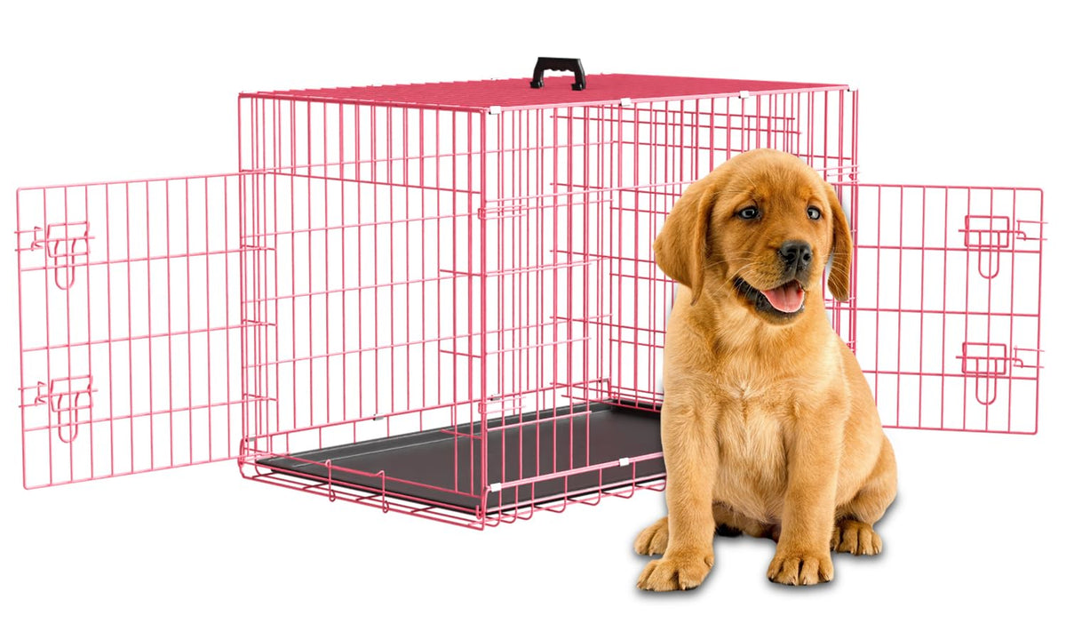 36" Metal Wire Folding Dog Crate with Divider Panel M733048