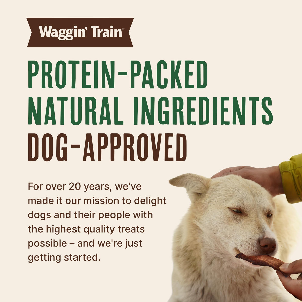 Duck Jerky Dog Treats 12 oz W697218