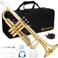 Standard Brass Trumpet Set T689