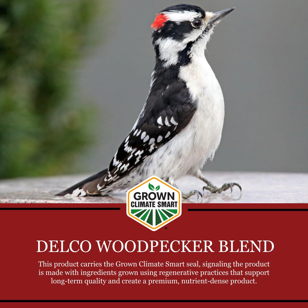 Wild Bird Seed 20 lb Bag Fruit & Nut with Sunflowers C691