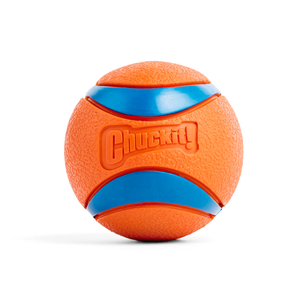 Large Floating Dog Fetch Toy X6652
