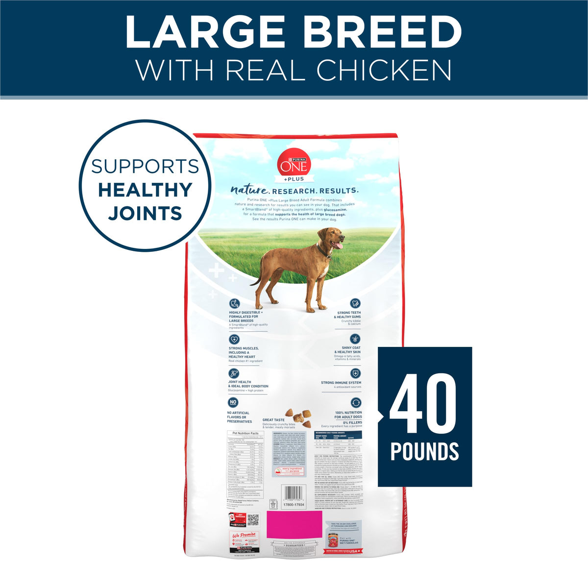 Adult Large Breed Dry Dog Food Chicken 40 lb Bag A762704