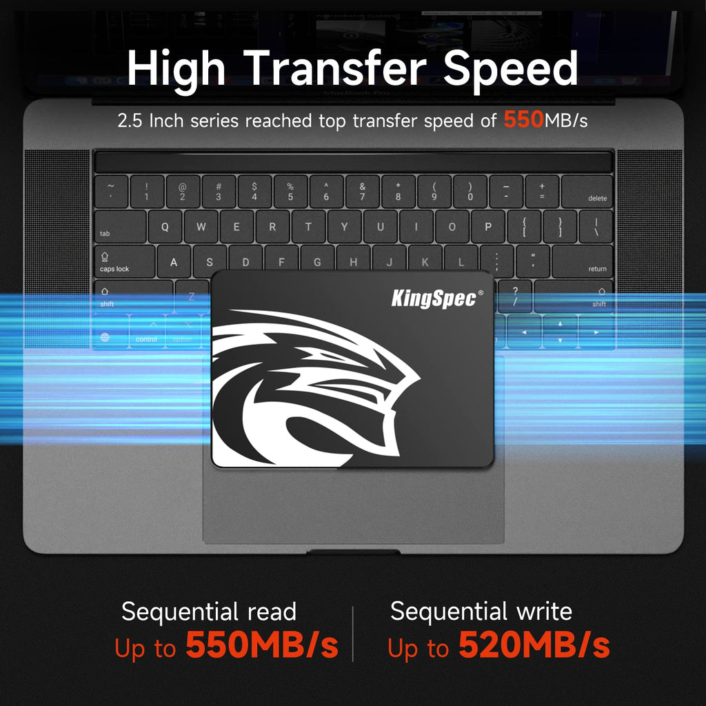 4TB 2.5 SATA III Internal SSD G699