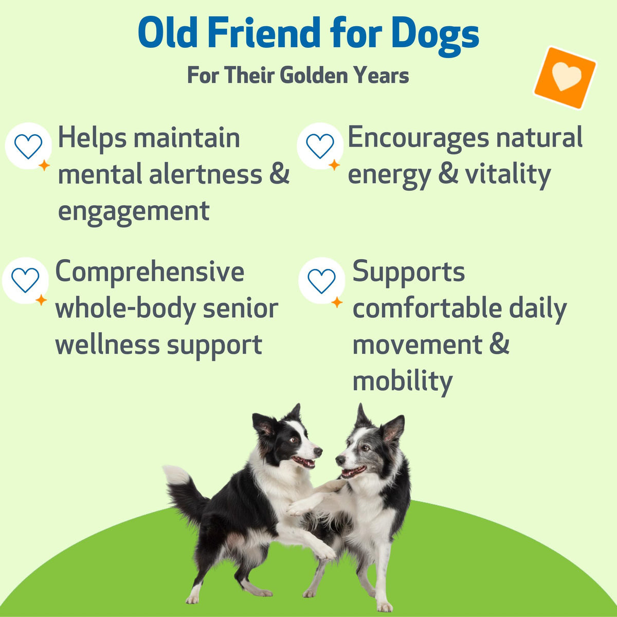 Senior Immune & Cognitive 2 oz W686639