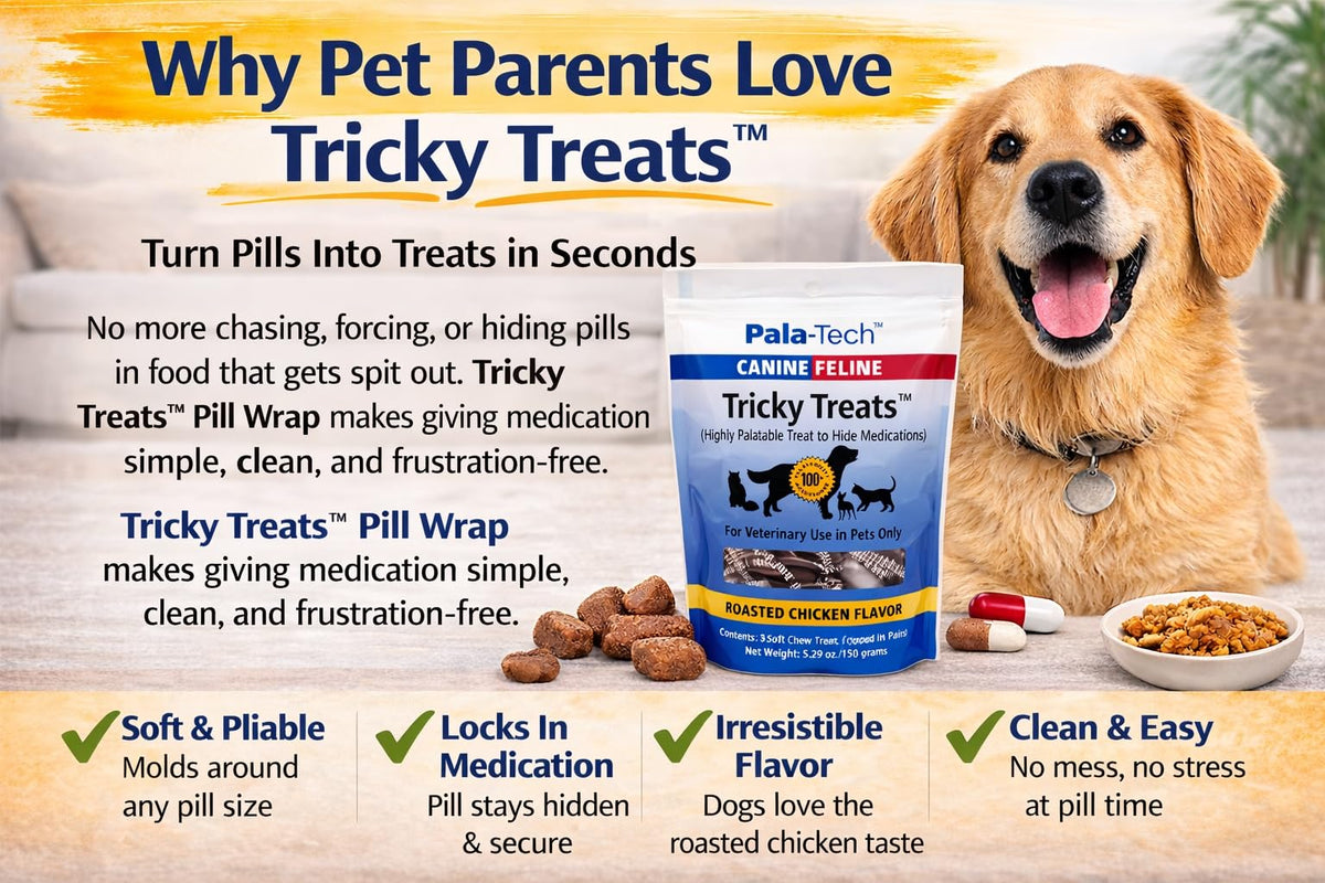 Roasted Chicken Flavor Soft Dog Treats 5.29 oz A36164