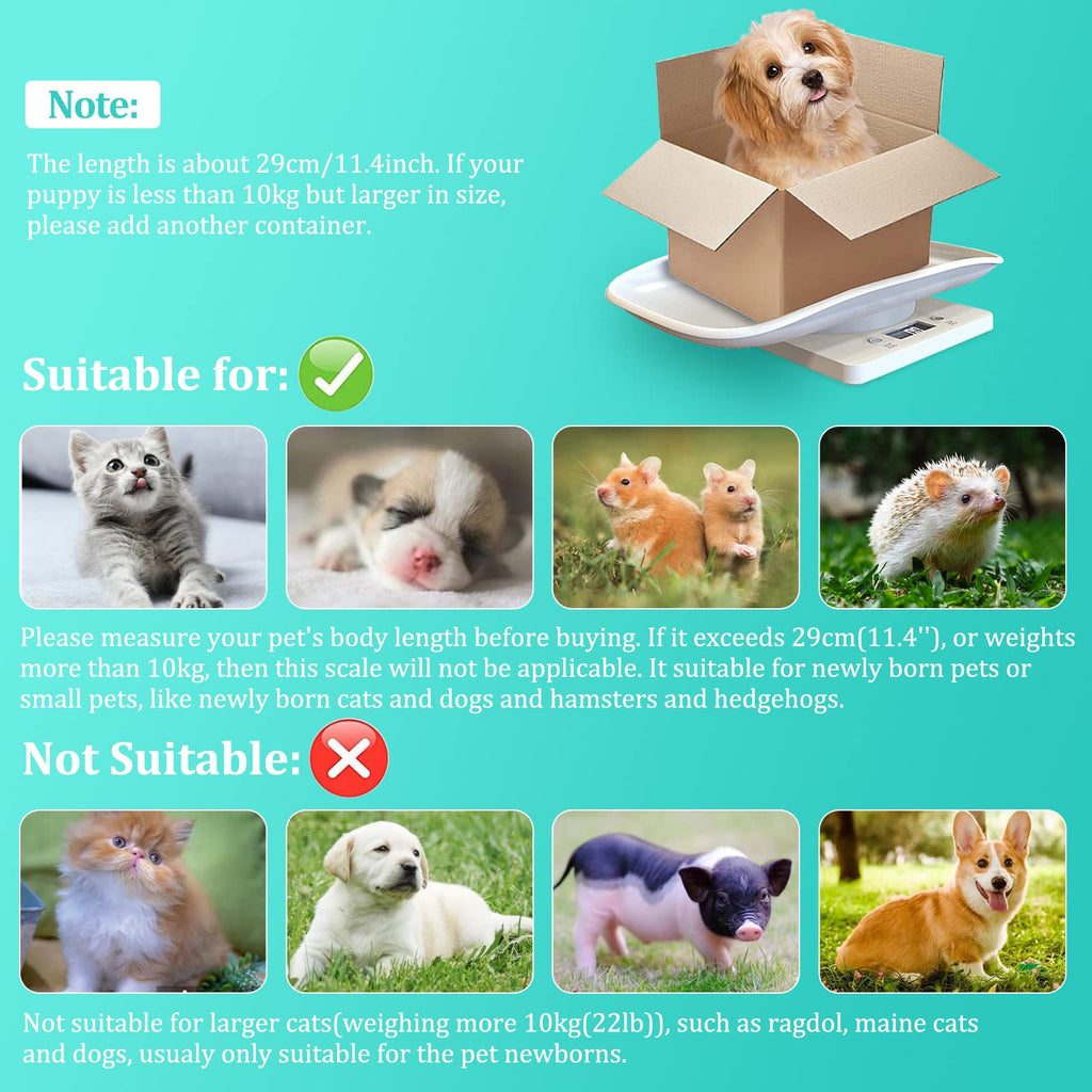 Digital Mini Pet Scale with Tray S8283