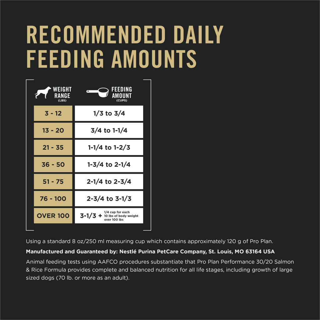 Salmon High Protein Dry Dog Food O914894