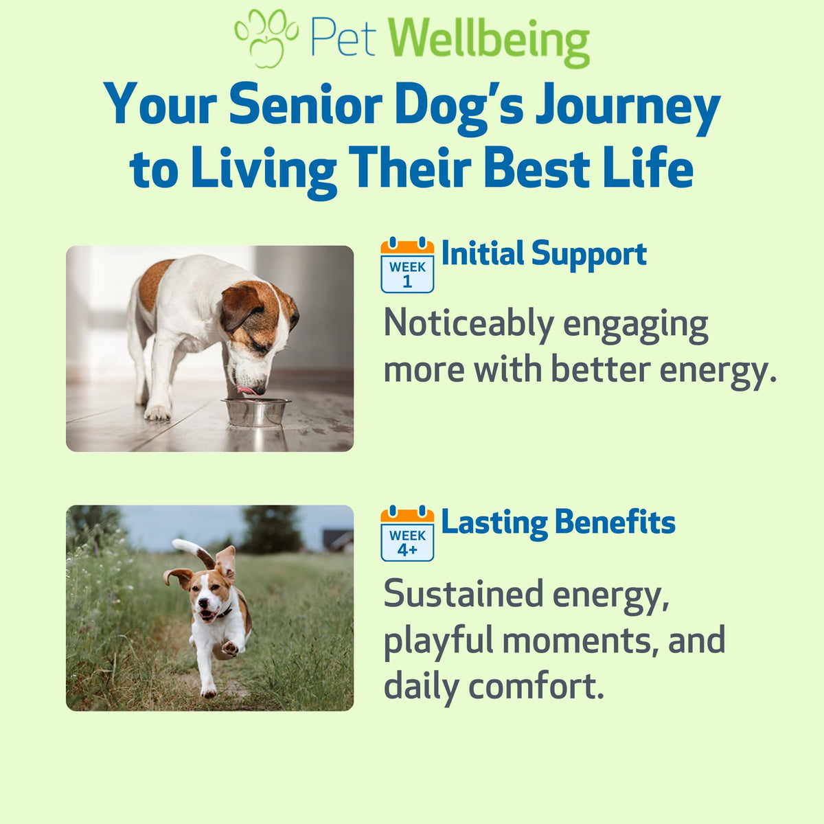 Senior Immune & Cognitive 2 oz W686639