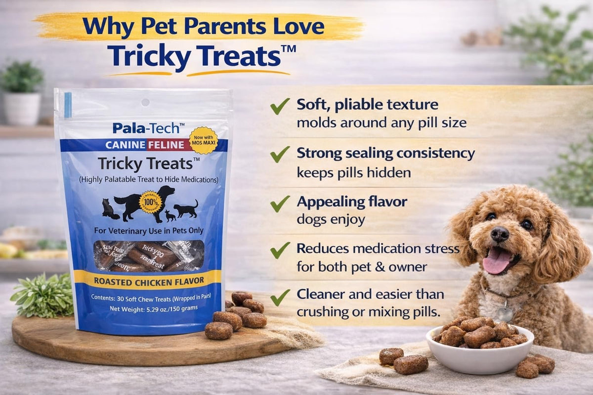 Roasted Chicken Flavor Soft Dog Treats 5.29 oz A36164