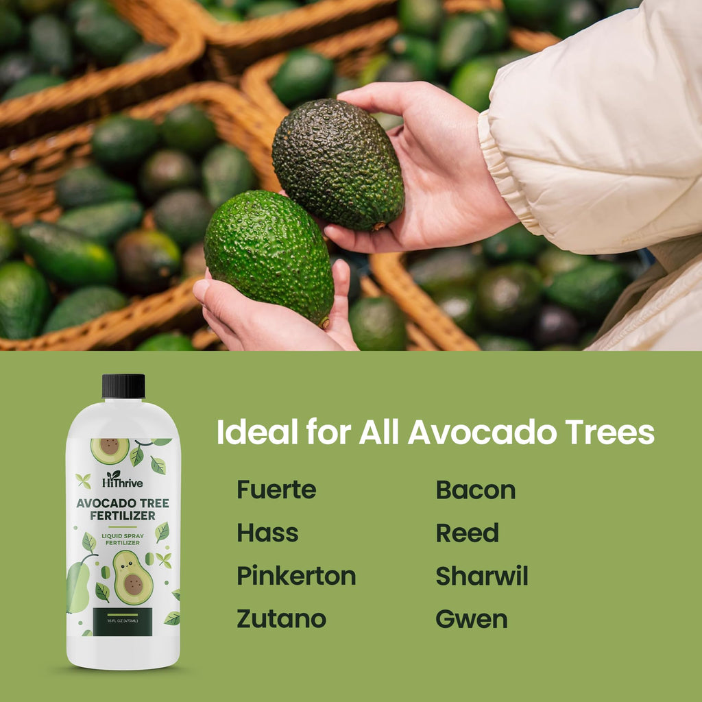 Avocado Fruit Tree Fertilizer 16oz W4491