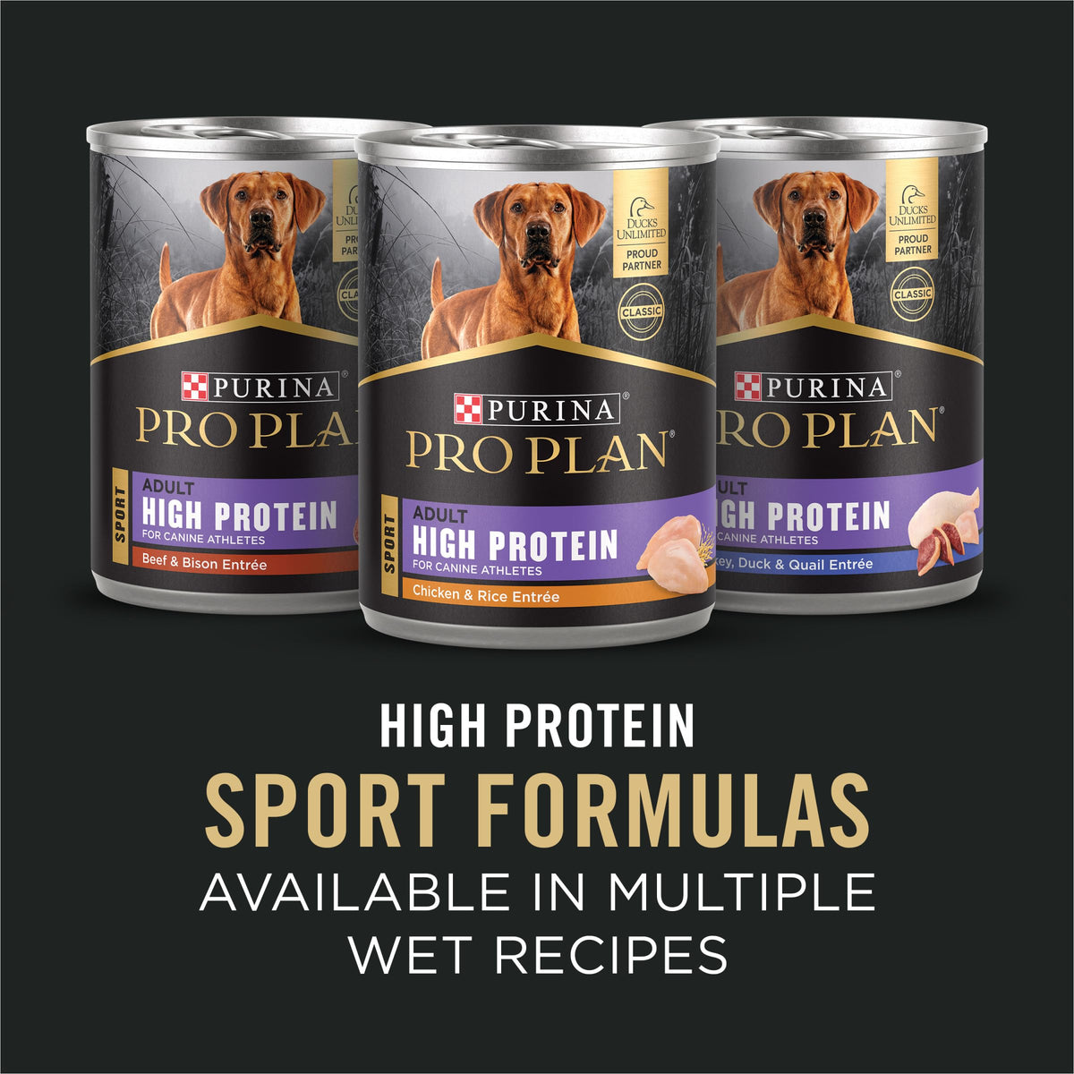 Salmon High Protein Dry Dog Food O914894