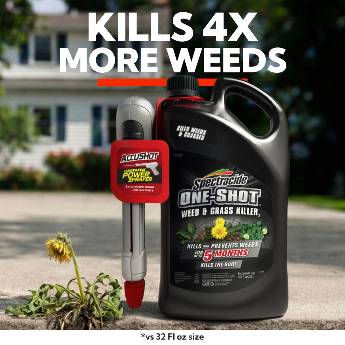 1 Gal Weed & Grass Killer R923312