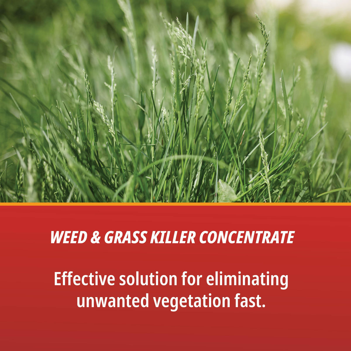 1 Gallon Weed & Grass Killer Concentrate M201