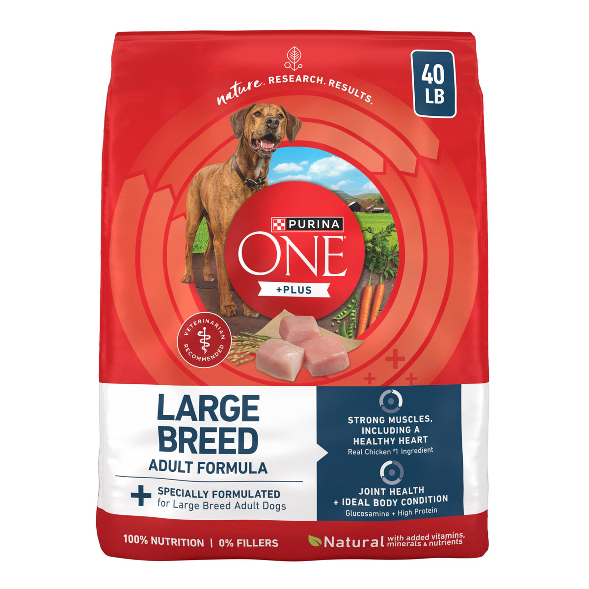 Adult Large Breed Dry Dog Food Chicken 40 lb Bag A762704