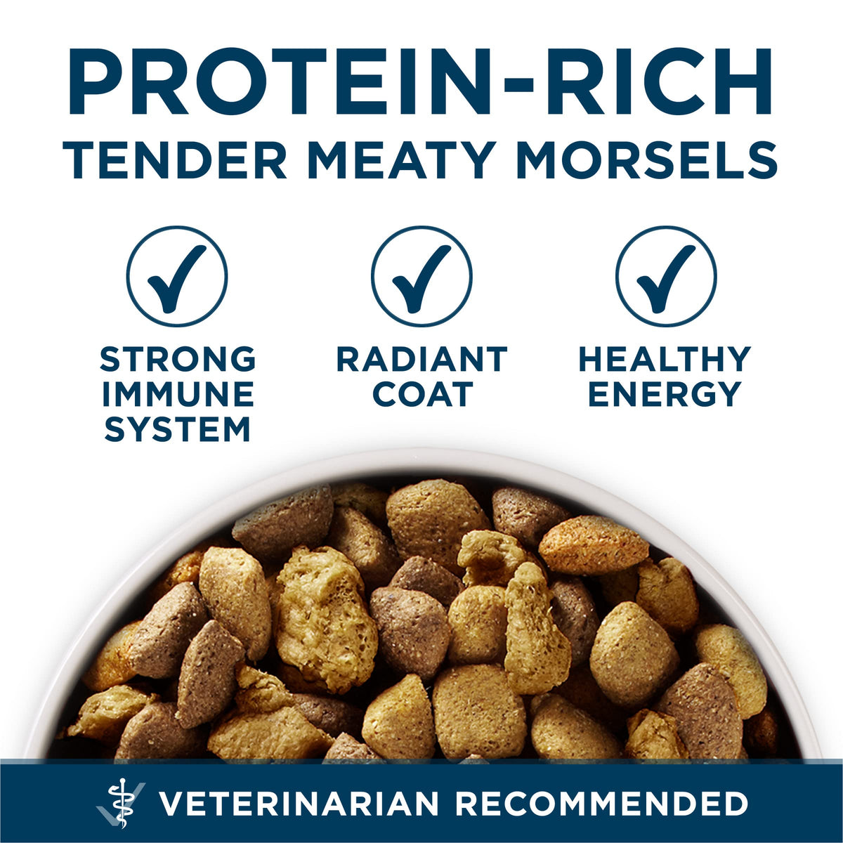 Adult Large Breed Dry Dog Food Chicken 40 lb Bag A762704