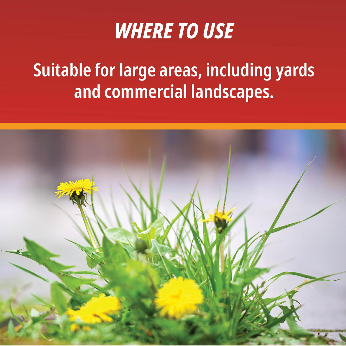1 Gallon Weed & Grass Killer Concentrate M201