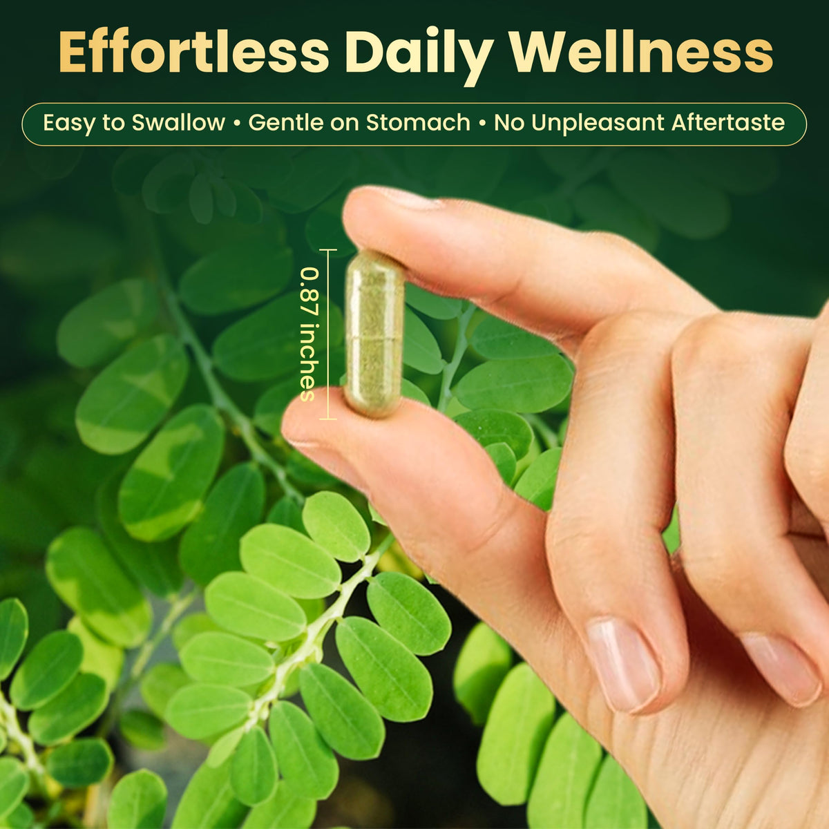 Moringa Capsules 1600mg 120 Vegan Capsules I965