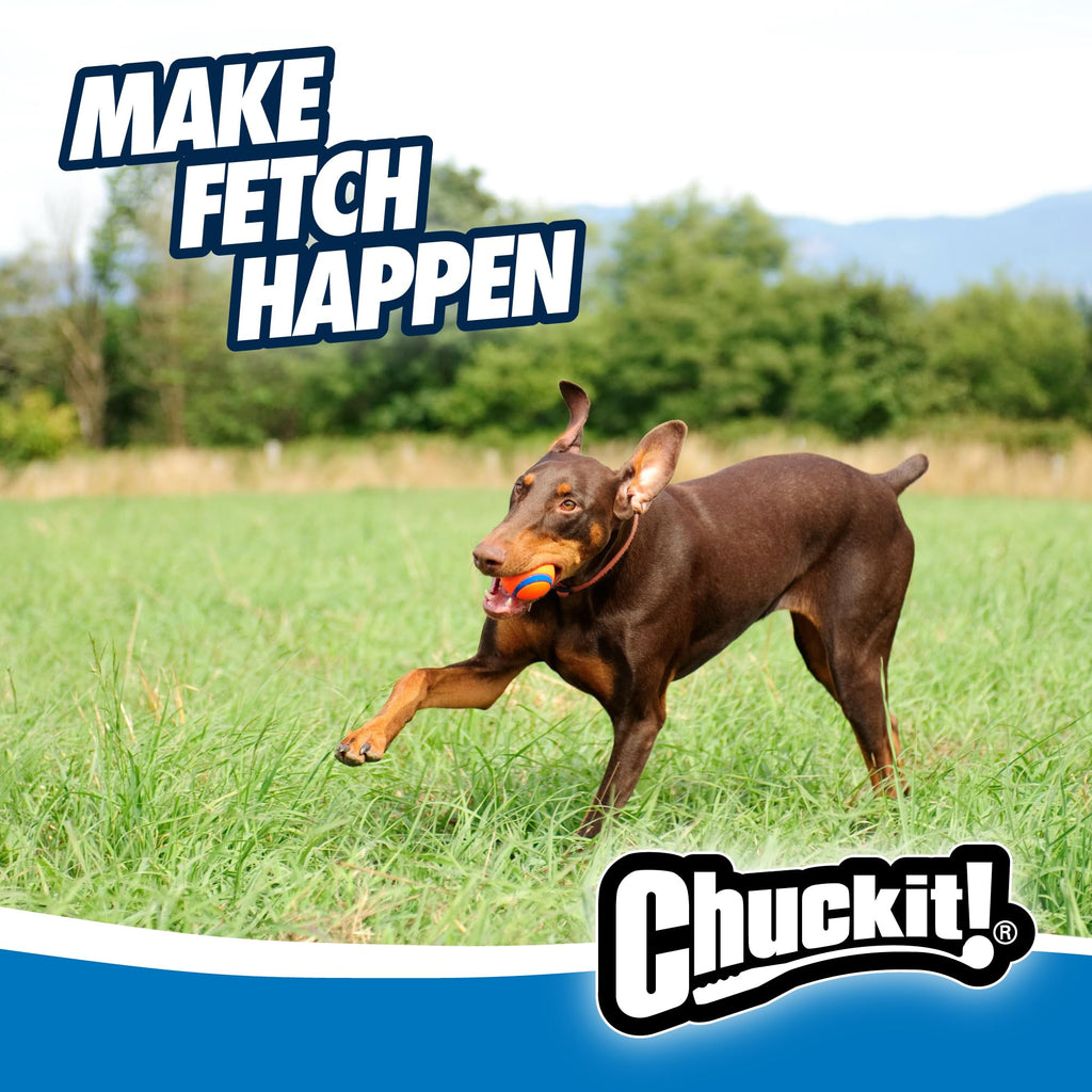 Large Floating Dog Fetch Toy X6652