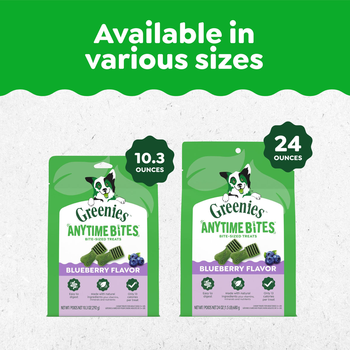 Blueberry Flavor Dog Treats 10.3 oz T770223