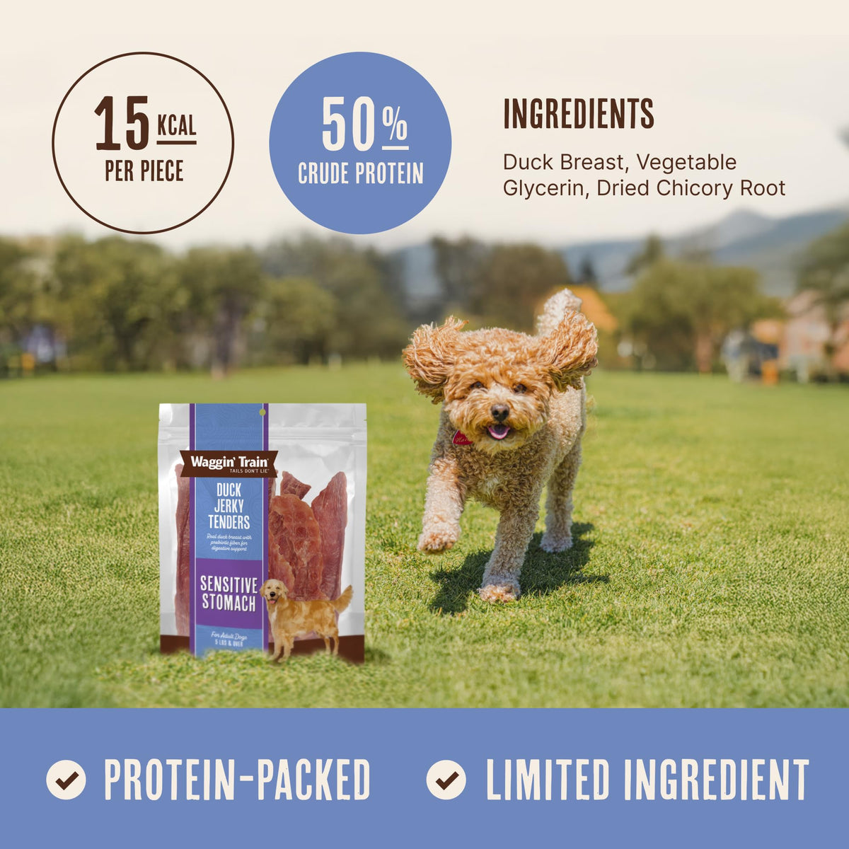 Duck Jerky Dog Treats 12 oz W697218