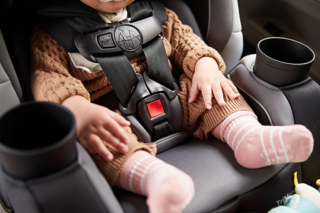 3-in-1 Convertible Car Seat, 5-100 lbs A2251