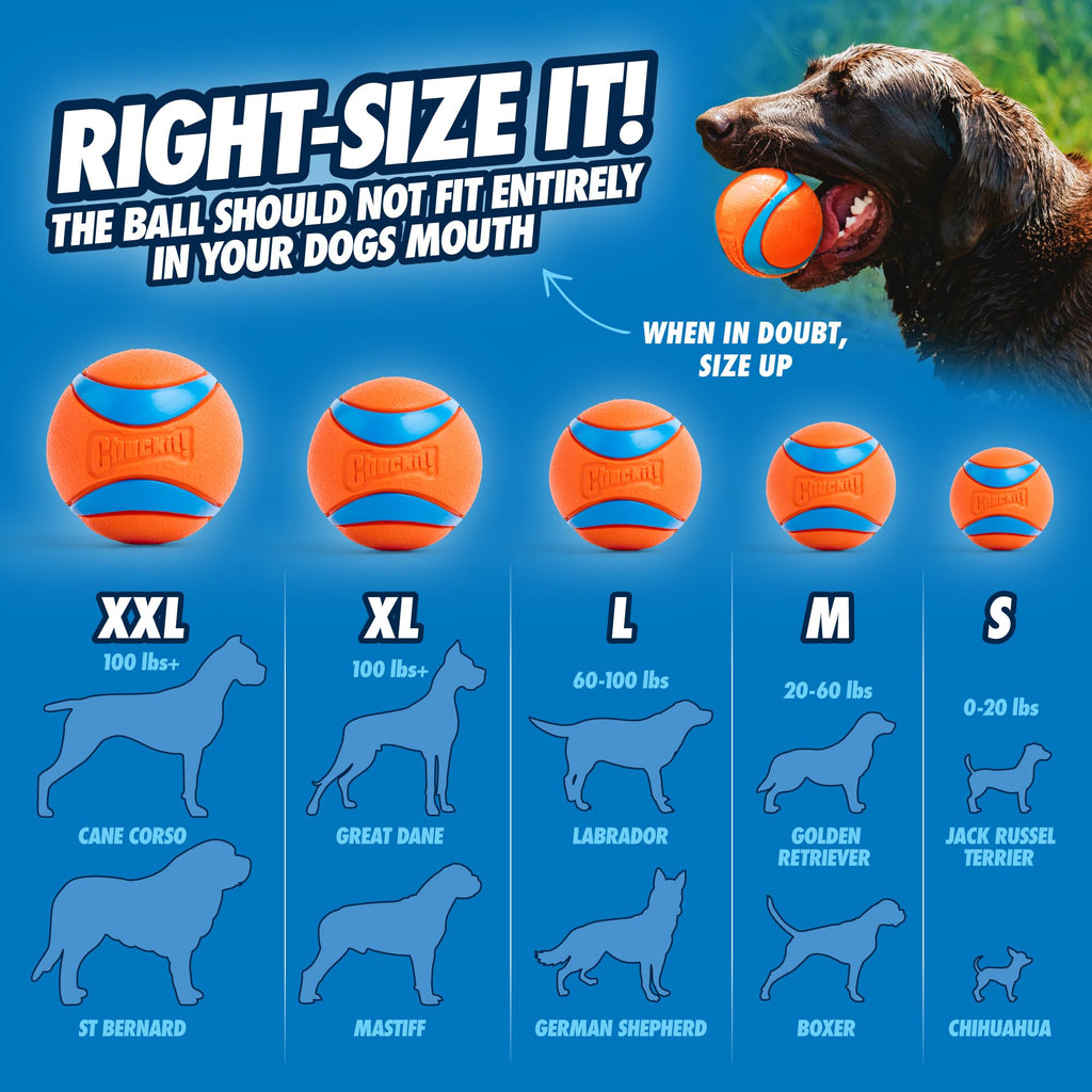 Large Floating Dog Fetch Toy X6652