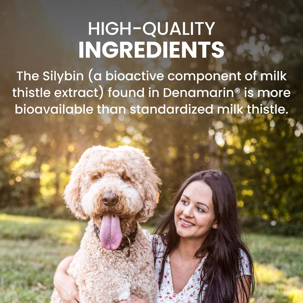 Large Dog Liver Health Supplement Coated Tablets 30 Count Pack of 2 I5492