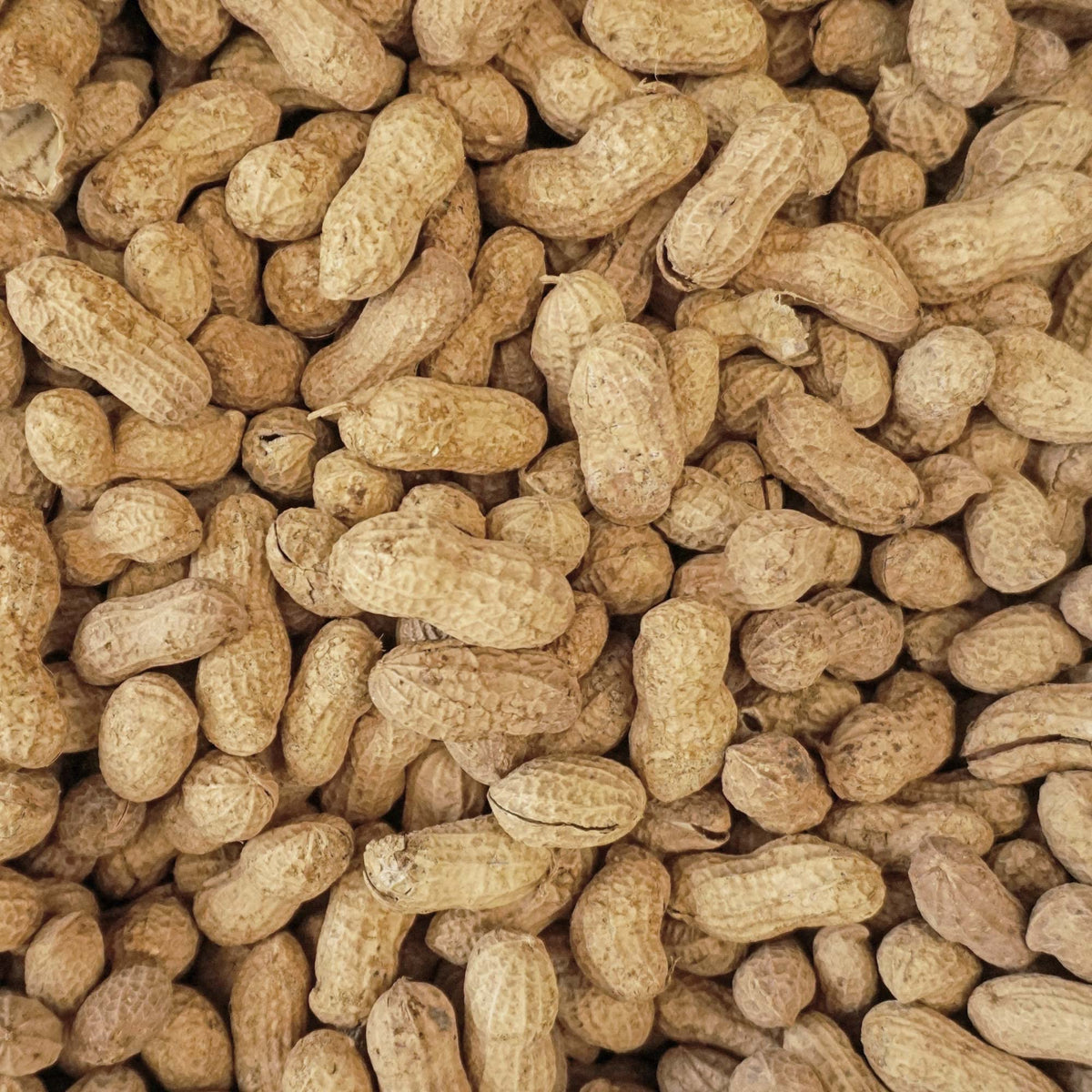 25 lb Animal Peanuts U51497