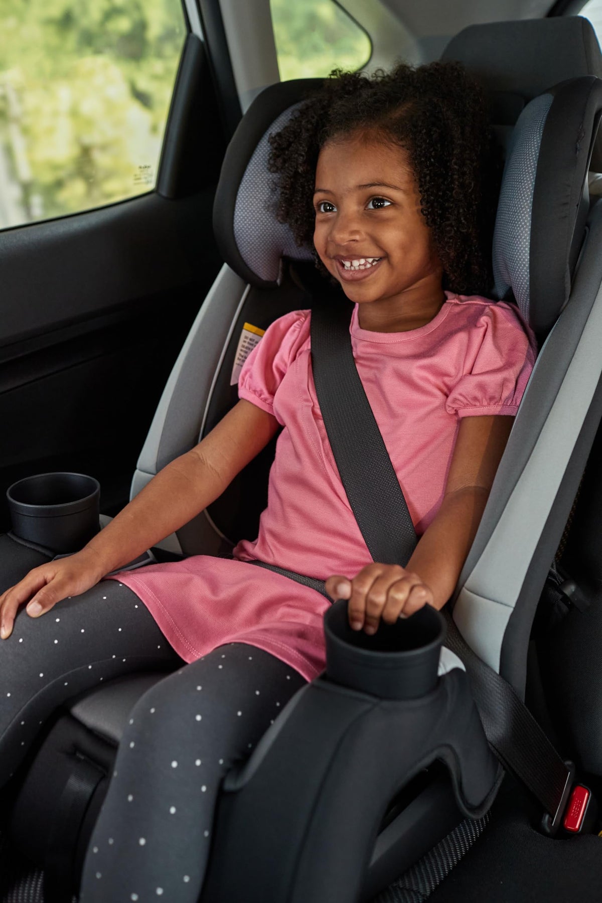 3-in-1 Convertible Car Seat, 5-100 lbs A2251