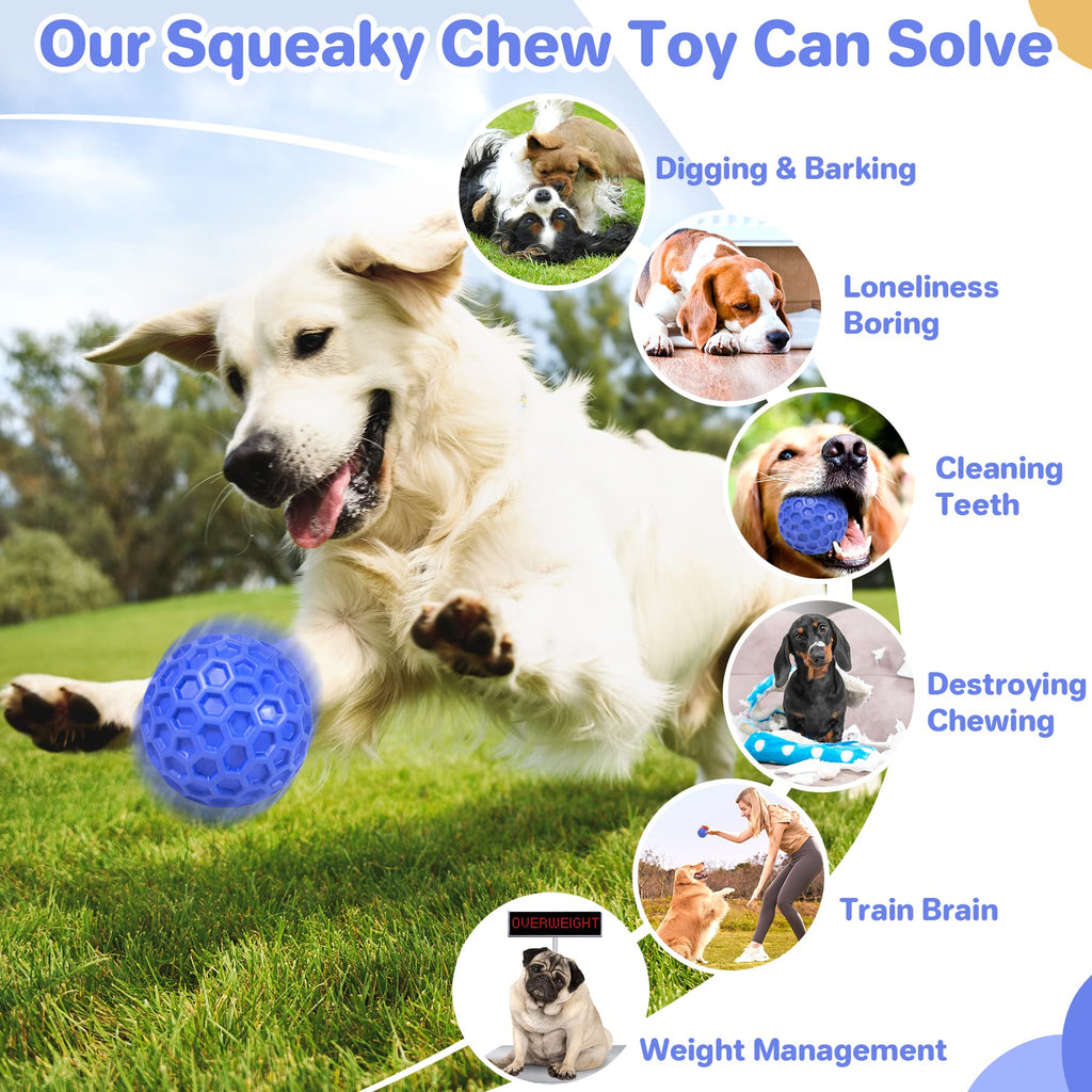 Squeaky Dog Ball Chew Toy I2806