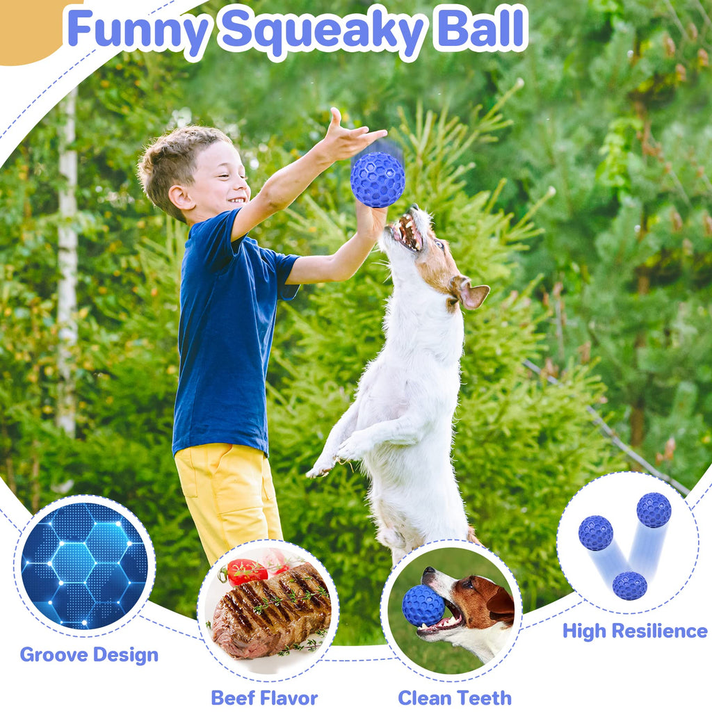 Squeaky Dog Ball Chew Toy I2806