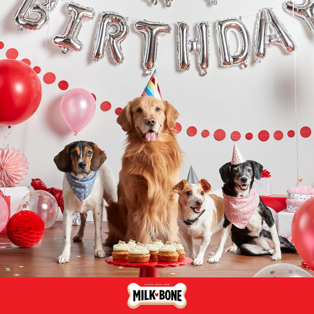 Birthday Cake Dog Treats 8 Oz N5709
