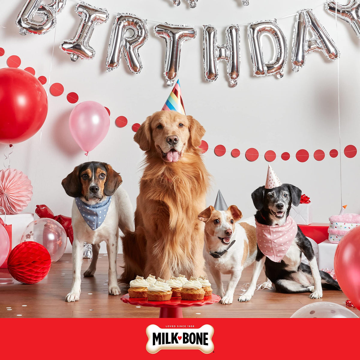 Birthday Cake Dog Treats 8 Oz N5709