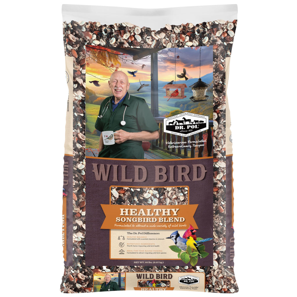 20 LB Wild Bird Seed X256574