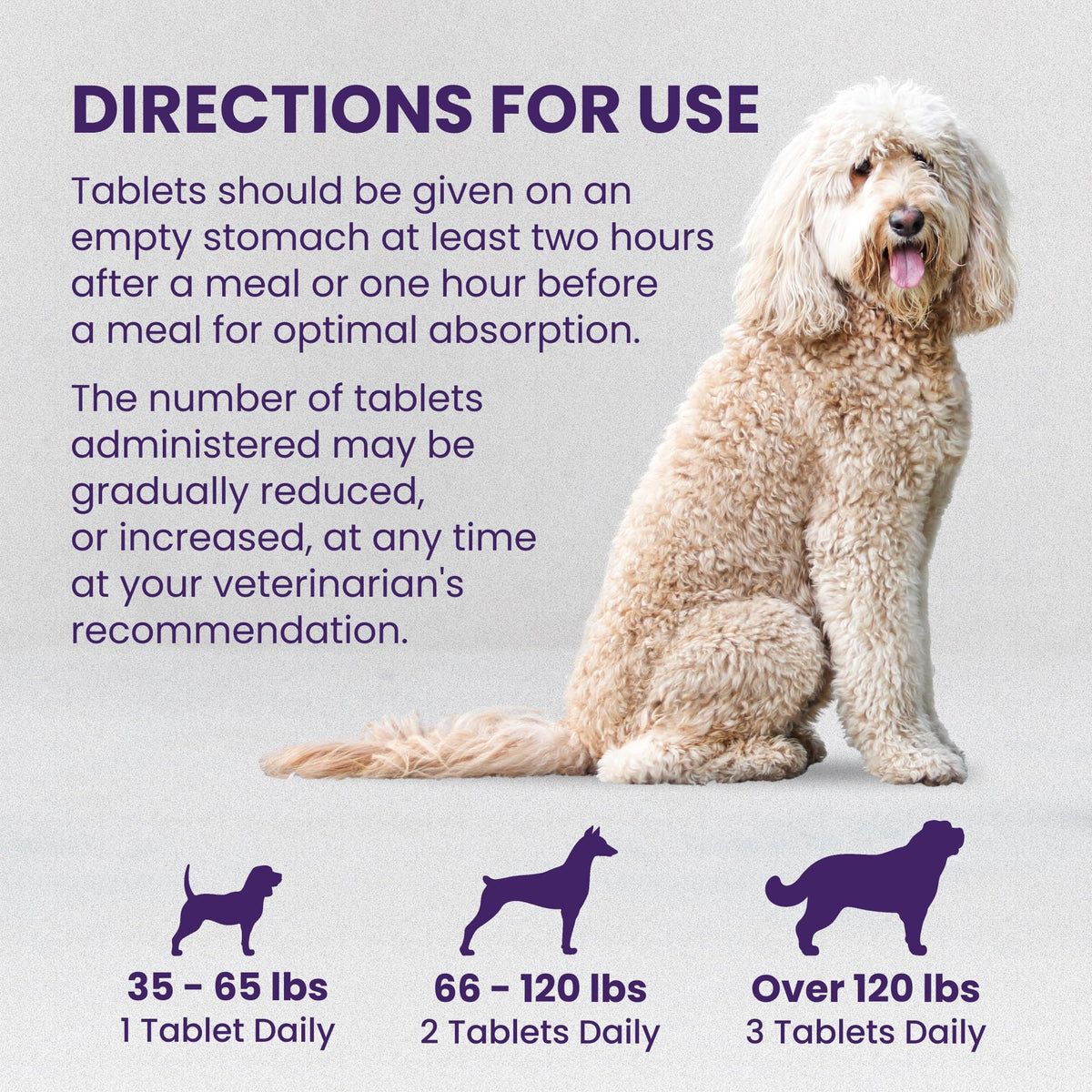 Large Dog Liver Health Supplement Coated Tablets 30 Count Pack of 2 I5492