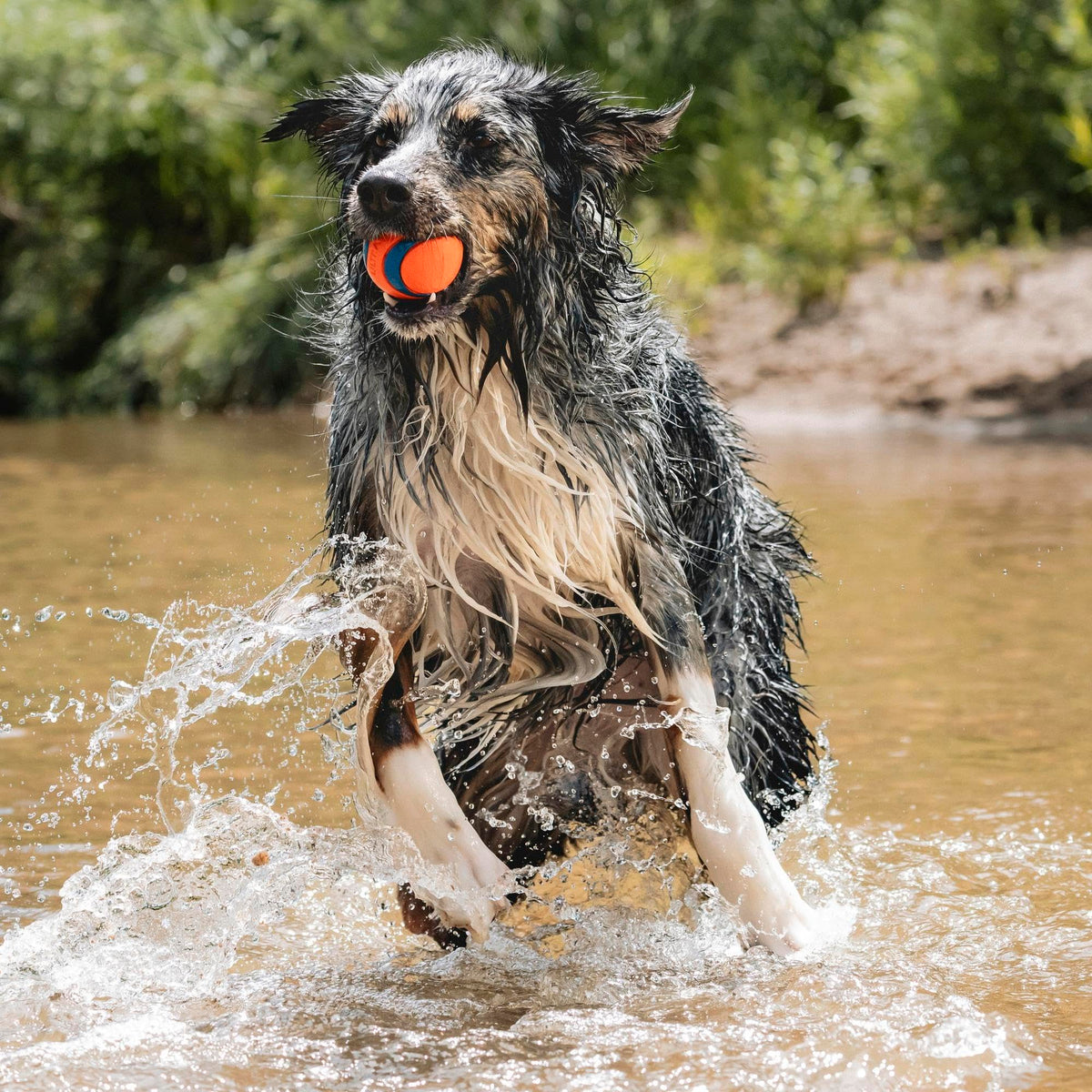Large Floating Dog Fetch Toy X6652