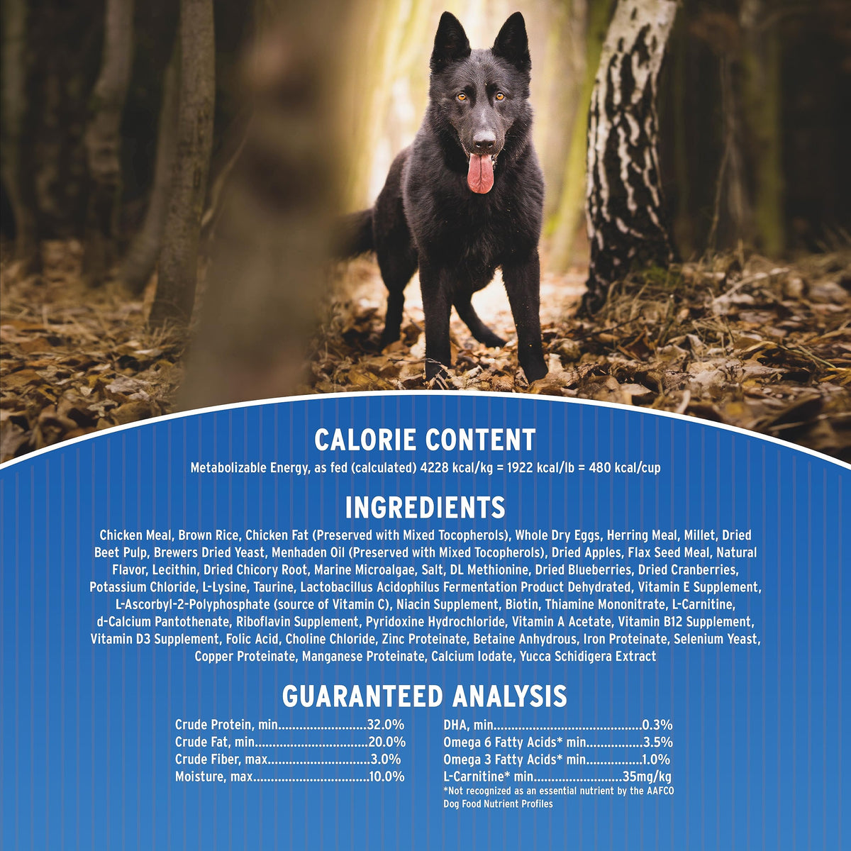 Chicken & Brown Rice Dry Dog Food 25-lb Bag V191