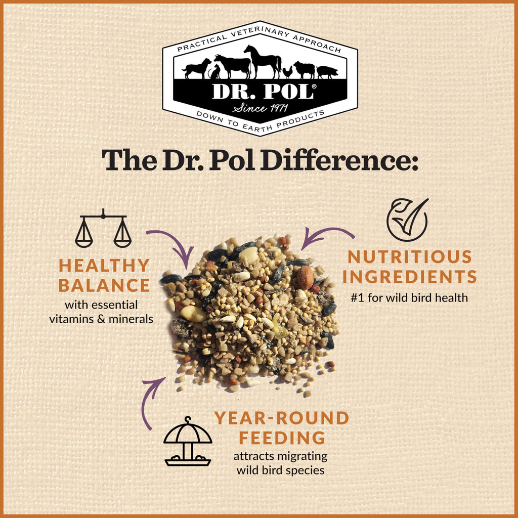 20 LB Wild Bird Seed X256574